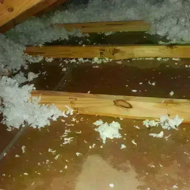 Attic Water Damage in Wading River, NY